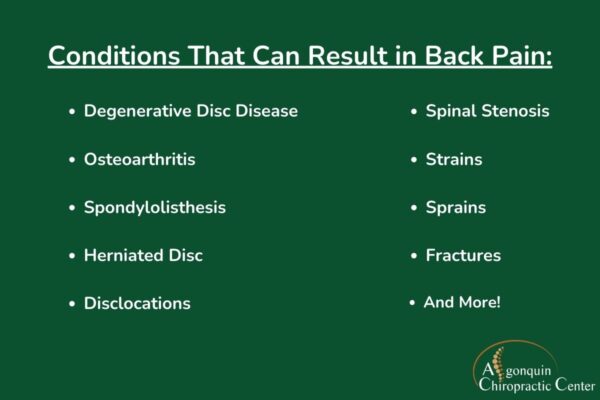 Custom graphic listing conditions causing back pain