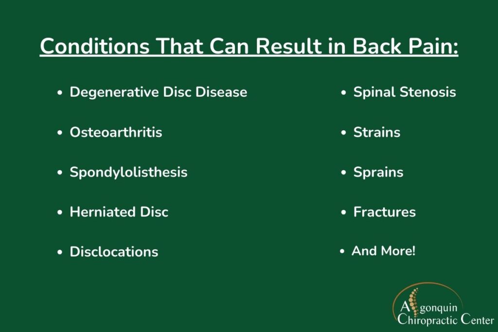 Custom graphic listing conditions causing back pain 