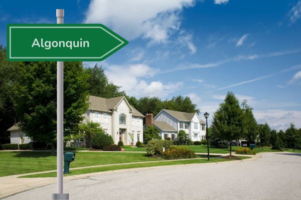 Algonquin Chiropractor Near Me Street sign for algonquin chiropractor near me